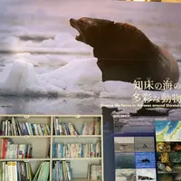 知床世界遺産センターの写真・動画_image_429808