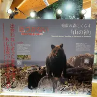 知床世界遺産センターの写真・動画_image_429809