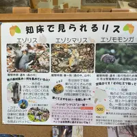 知床世界遺産センターの写真・動画_image_429810