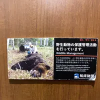 知床自然センターの写真・動画_image_429816