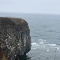 能取岬海岸の写真・動画_image_429854