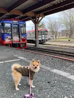 ふるさと銀河線りくべつ鉄道の写真・動画_image_429856