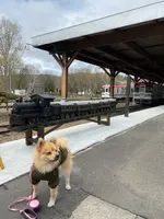 ふるさと銀河線りくべつ鉄道の写真・動画_image_429858