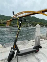 しまなみロマンの写真・動画_image_429973