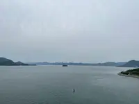 多々羅大橋の写真・動画_image_429986