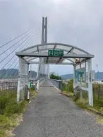 多々羅大橋の写真・動画_image_429990
