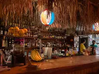 FLEX Bar & Grillの写真・動画_image_430270