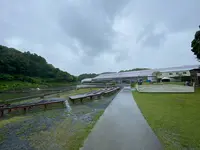 掛川花鳥園の写真・動画_image_430615