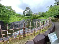 掛川城の写真・動画_image_430620