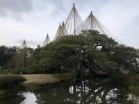 兼六園の写真・動画_image_430686