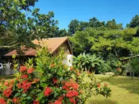 イルンティ フタデムラ ＜西表島＞の写真・動画_image_430927