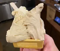 Premarché Gelateria プレマルシェ・ジェラテリアの写真・動画_image_430994
