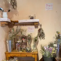 ナチュラルインテリア専門店 ミヤカグの写真・動画_image_431173