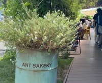 ANT BAKERY by mugimugiの写真・動画_image_431187