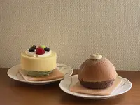 カカオ果の写真・動画_image_431197