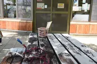 野間馬ハイランドまきば館の写真・動画_image_431394