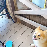 クライマックスコーヒー デポアイランド店の写真・動画_image_431406