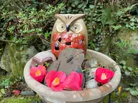 梟の館の写真・動画_image_431519