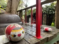 猫の細道の写真・動画_image_431525
