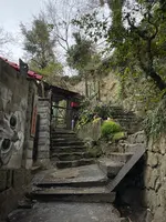 猫の細道の写真・動画_image_431528