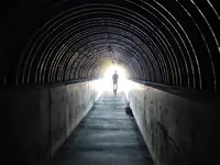 島武意海岸の写真・動画_image_431595