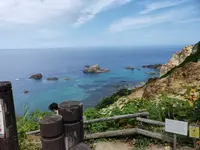 島武意海岸の写真・動画_image_431596