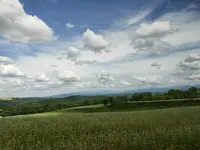 四季彩の丘の写真・動画_image_431610