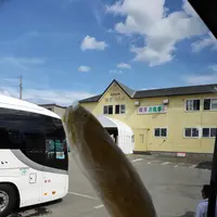 四季彩の丘の写真・動画_image_431612