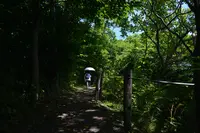 黄金岬の写真・動画_image_431626