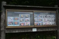 食事処 鱗晃の写真・動画_image_431628