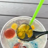 Gallirallusの写真・動画_image_431668