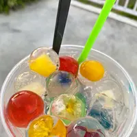 Gallirallusの写真・動画_image_431673