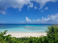 ニシハマビーチの写真・動画_image_431865