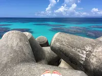 波照間漁港の写真・動画_image_431869