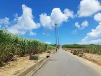 波照間島の写真・動画_image_431875