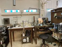 d-y-w-fの写真・動画_image_431917