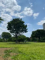 木場公園の写真・動画_image_432355