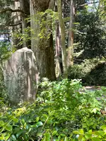 箱根旧街道杉並木の写真・動画_image_432404