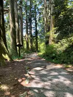 箱根旧街道杉並木の写真・動画_image_432405