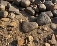 黒島の写真・動画_image_432502