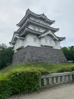 忍城 本丸跡の写真・動画_image_432541