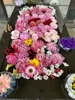 前玉神社の写真・動画_image_432549