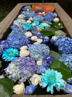 前玉神社の写真・動画_image_432550
