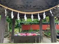 前玉神社の写真・動画_image_432551