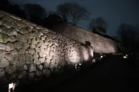 金沢城の写真・動画_image_432784