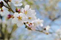 軽井沢タリアセンの写真・動画_image_432903
