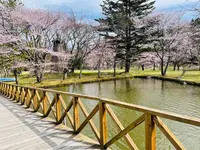 軽井沢タリアセンの写真・動画_image_432906