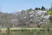 軽井沢タリアセンの写真・動画_image_432908