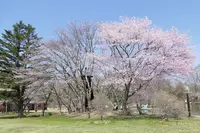 軽井沢タリアセンの写真・動画_image_432909