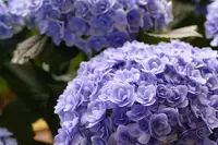 RK GARDEN POINT MAKERSの写真・動画_image_432912